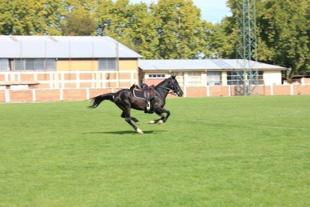 Húsares De La Muerte