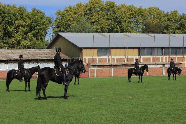 Húsares De La Muerte